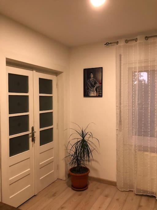 바이아마레 Casa Cu Trandafiri 빌라 외부 사진